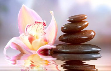 Spa zen taşlar. uyum kavramı