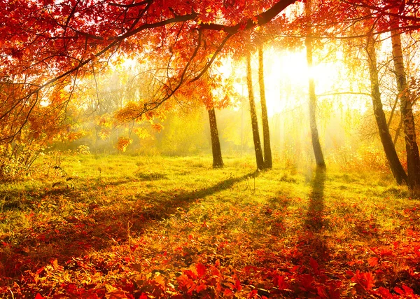 5 322 162 Automne Stock Photos Images Download Automne Pictures On Depositphotos 5 322 162 Automne Stock Photos Images Download Automne Pictures On Depositphotos