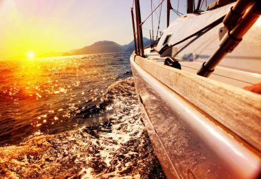 Yacht Sailing against sunset. Sailboat. Yachting. Sailing clipart