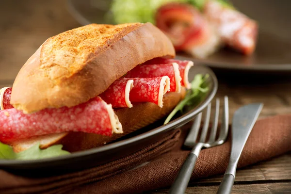 Sandwich con salami — Foto de Stock