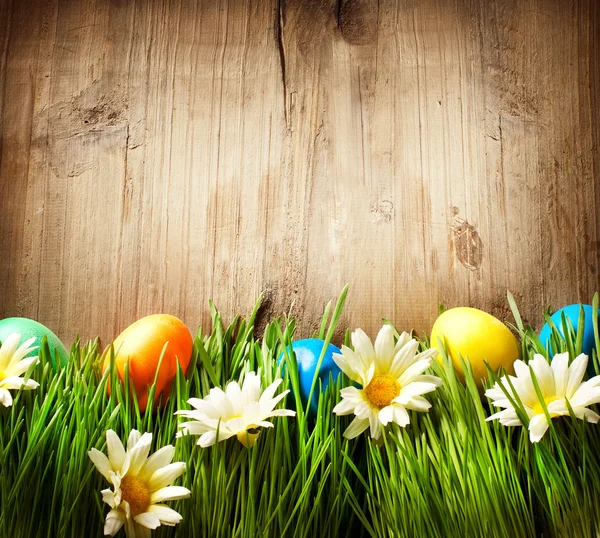 Uova di Pasqua colorate in erba primaverile e fiori su legno — Foto Stock