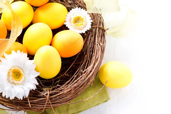 Paskalya. boyalı Paskalya yumurtaları ve yuvaya bahar çiçekleri — Stok fotoğraf