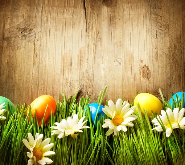 Uova di Pasqua colorate in erba primaverile e fiori su legno — Foto Stock