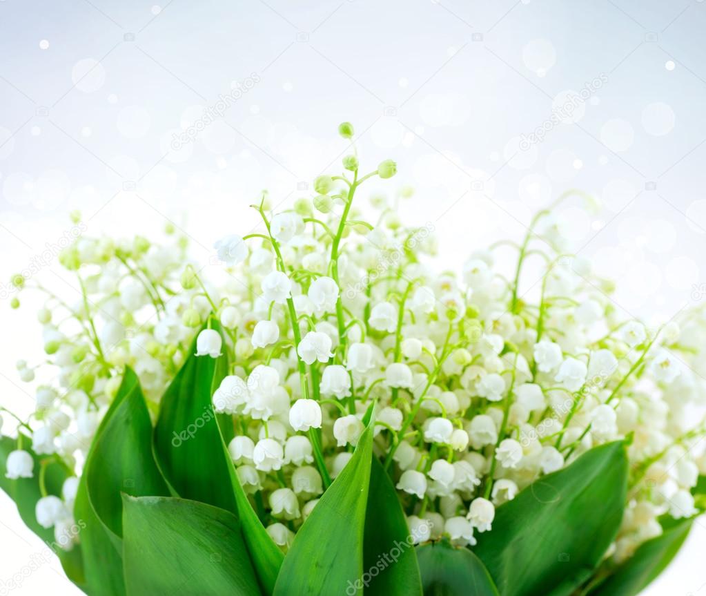 Lily-of-the-valley Flower Design. Bunch of White Spring Flowers Stock ...