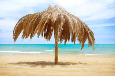 tatil kavramı. PALAPA güneş çatı plaj şemsiye