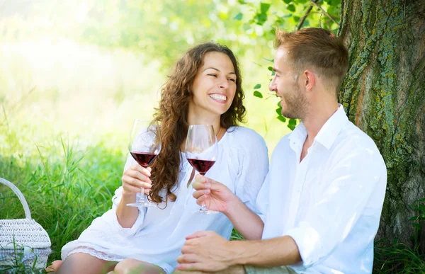 ピクニック。若いカップル、公園でリラックスして飲むワイン — ストック写真