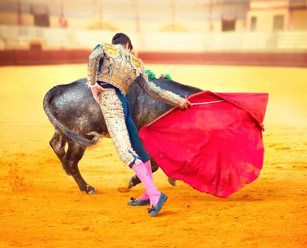 象斗牛。斗牛士的战斗中典型的西班牙斗牛 图库图片