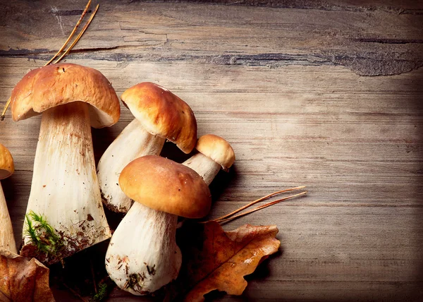 Svamp boletus över trä bakgrund. höstens cep svamp — Stockfoto