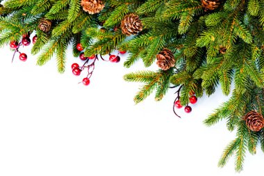 Noel. herdem yeşil çam ağacı sınır tasarlamak