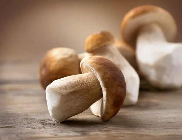 Boleto de cogumelo sobre fundo de madeira. Cogumelos Cep Outono — Fotografia de Stock