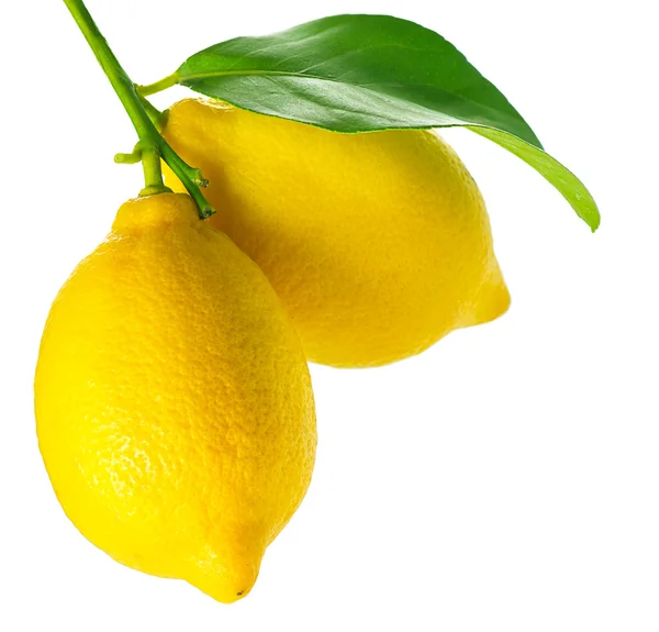 Limón aislado en White. Limones frescos y maduros —  Fotos de Stock
