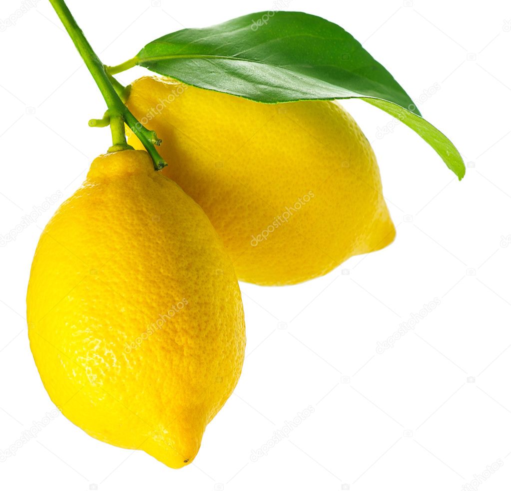 Lemon isolated on White. Fresh and Ripe Lemons