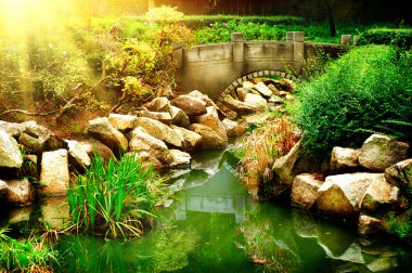 Landscaped Garden with Pond. clipart
