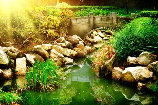 Landscaped Garden with Pond. — Stock Photo, Image