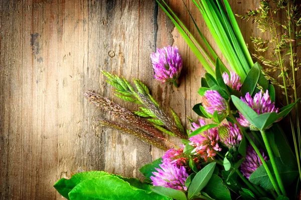 Spring Herbs — Stock Photo, Image
