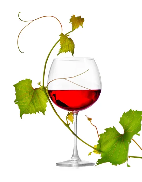 Copo de vinho — Fotografia de Stock