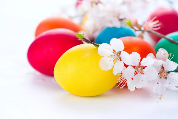 Färgglada påskägg med blommor — Stockfoto