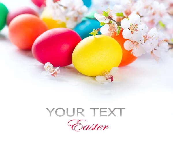 Huevos coloridos de Pascua con flores — Foto de Stock