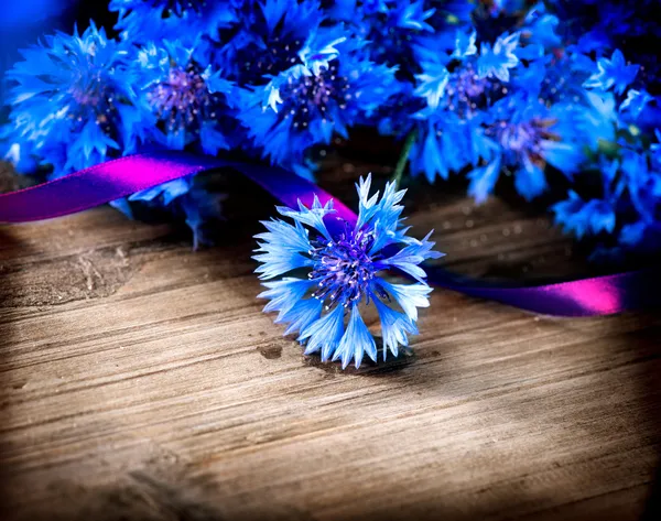 Vad kék Búzavirág — Stock Fotó