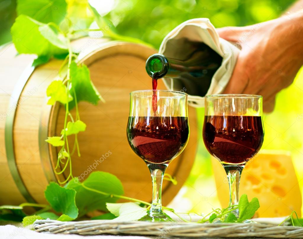 http://st.depositphotos.com/1491329/4863/i/950/depositphotos_48639457-Red-Wine-and-Cheese..jpg