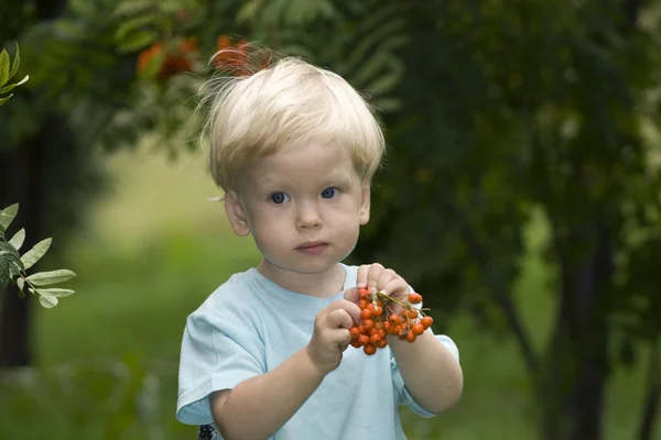 Baby with mountain ash berries — Stock Photo, Image