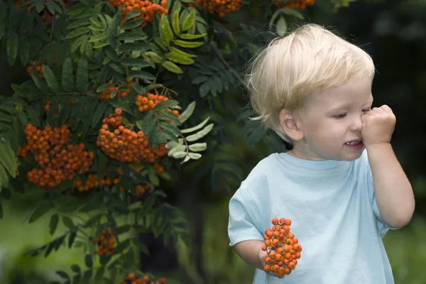 Bebek üvez meyveleri ile — Stok fotoğraf