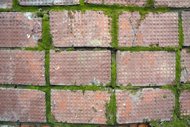 Yosun kaplı eski tuğla duvar