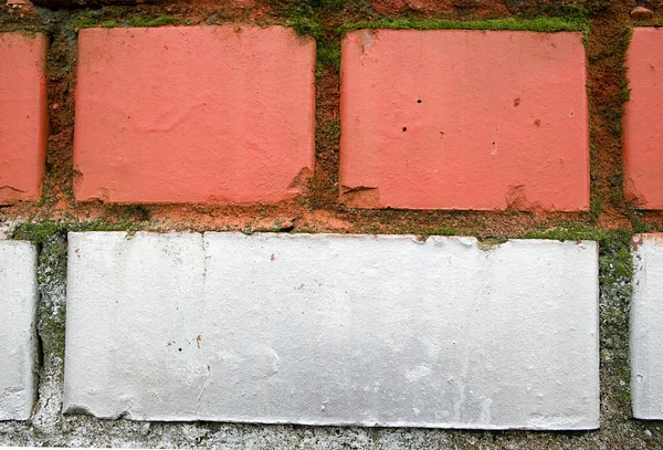 Fragment an old colored brick wall with a moss — Stock Photo, Image