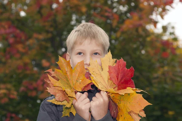 Niño feliz y otoño en un parque — Foto de Stock