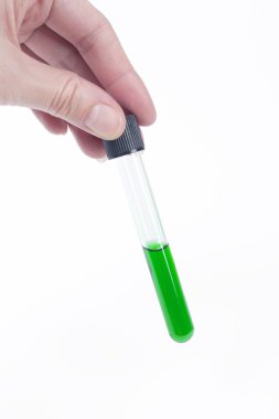 el test tüpü içinde sıvı renkli