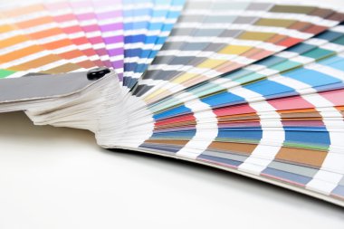 Pantone renk paleti