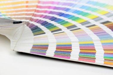Pantone renk paleti