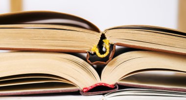 yığın açık kitap