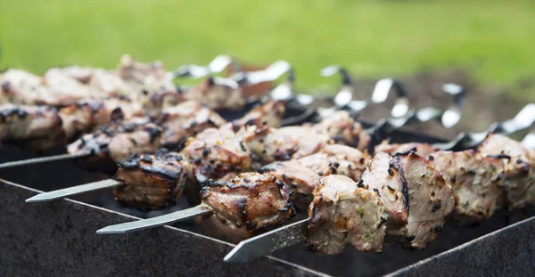 Meat fried on a skewer — Stock Photo, Image