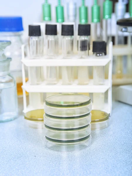Petri ve test tüpleri — Stok fotoğraf