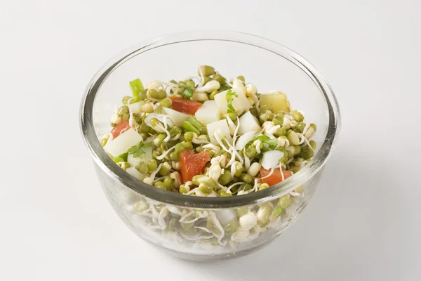 Bowl of sprouts Salad — Stock Photo, Image