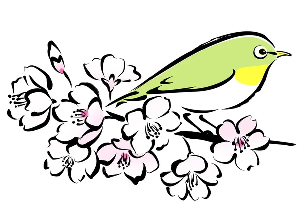 Sakura цвітіння цвітіння і білий очей — стоковий вектор