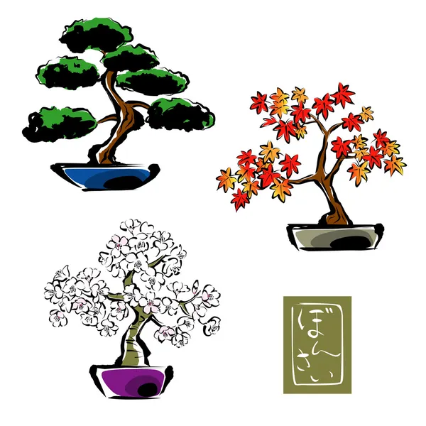Bonsai pinetree, Japansk lönn, sakura — Stock vektor