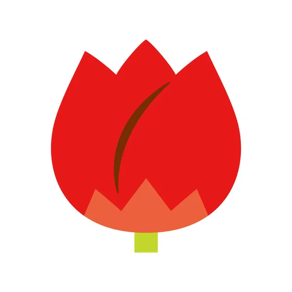 Tulipán Rojo Ilustración Icono —  Fotos de Stock