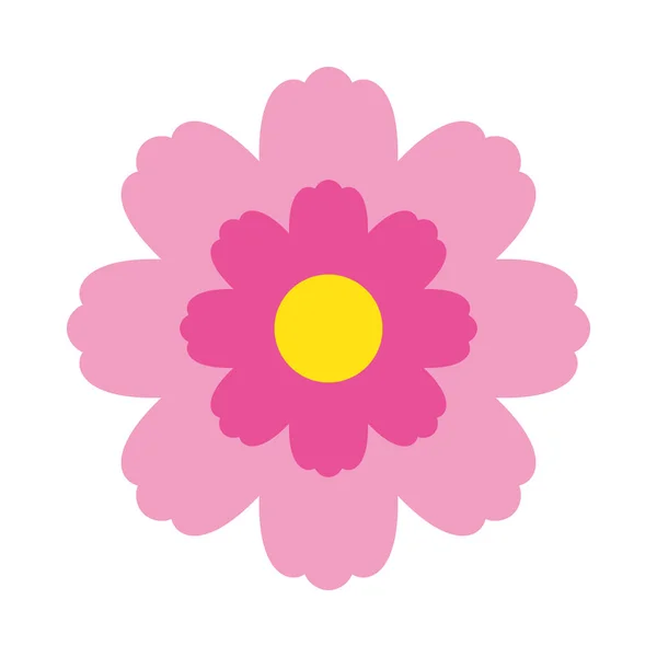 Pink Cosmos Simple Design Icon Illustration — 图库照片