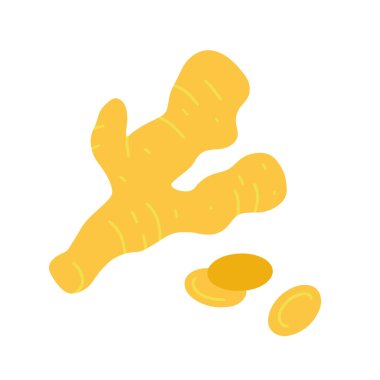 Piece of ginger root isolated on white background. Flat cartoon vector illustration, hand drawn style.