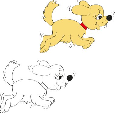 beyaz zemin üzerinde köpekler