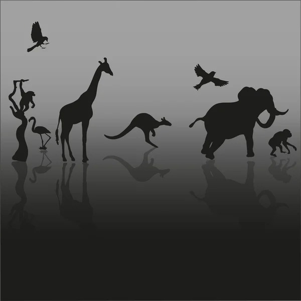 Silhouette collection of wild animals — Stock Vector