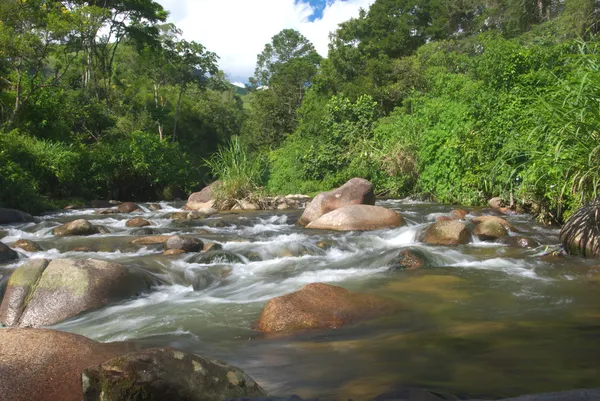 Creek in Brazilië — Stockfoto