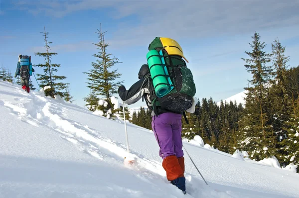 Ensamma vandrare i vinter mountain — Stockfoto