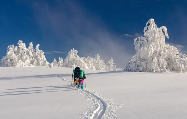 Groupe de randonneurs avec chien Sammy dans les montagnes d'hiver — Photo