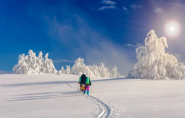 Skupina turistů se psem sammy v zimních horách Stock Fotografie