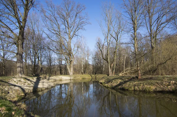 Doğal konum Na Podkove Chrudima nehri yakınında, okside ağaçlar ve yeşilliklerle çevrili, ilkbaharın başlarında su yüzeyi yansımaları