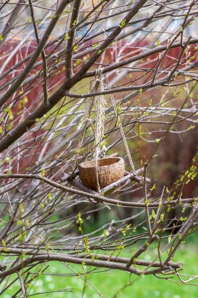 Vogelfutterhäuschen Aus Kokosnussschale Die Zweigen Jute Seilen Garten Hängen Mit — Stockfoto