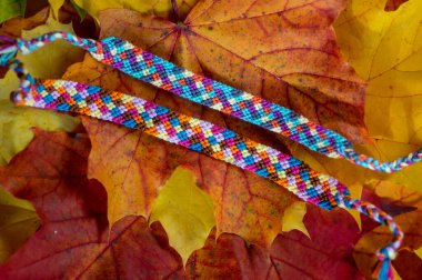 Handmade homemade colorful natural woven bracelets of friendship isolated on autumnal natural leaves background, beautiful bright colors clipart